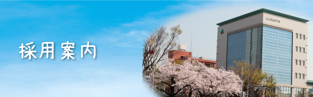 採用案内