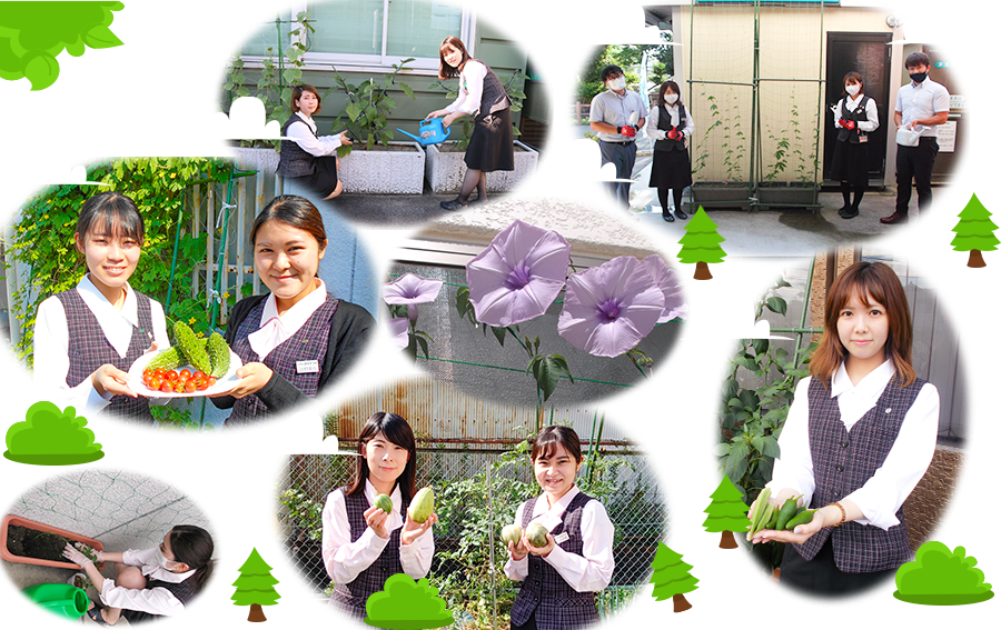 1siten1kyodo04.png