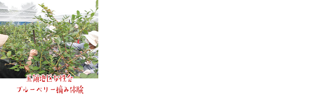 sosiki128.png