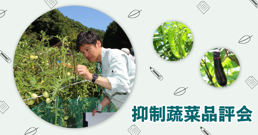 thumbnail_yokuseisosai20260805.jpg